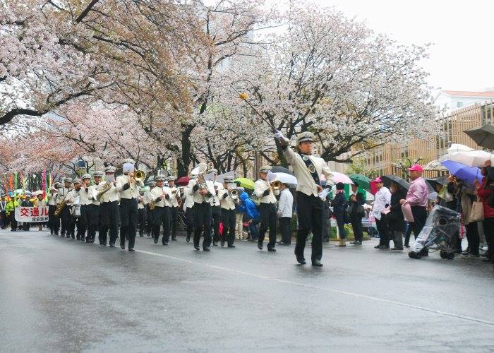 宮崎台桜祭り（宮前区）